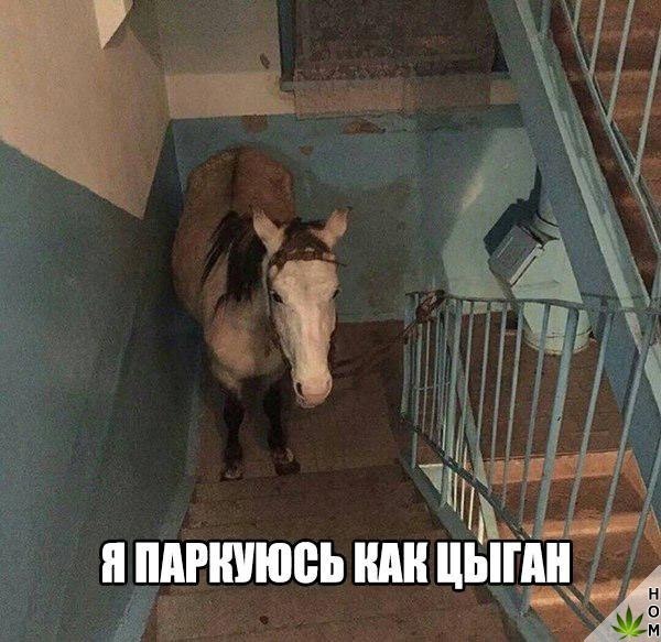 Нестандартный юмор