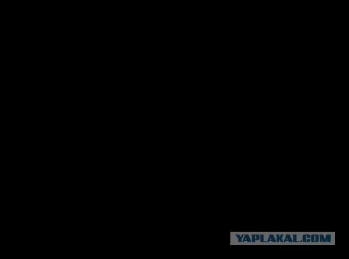 Как делают крабовые палочки, туалетную бумагу и другие привычные вещи, которые есть в каждом доме