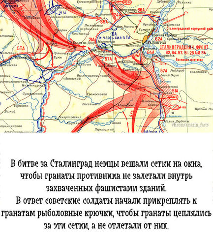 Немного веселых картинок из этих наших интернетов