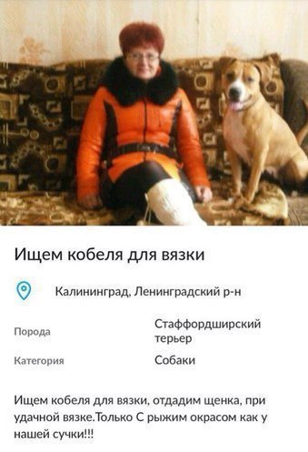 Не очень адекватный юмор