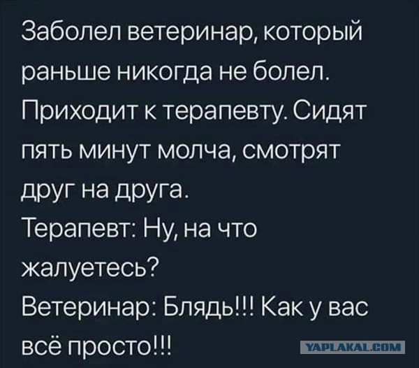 Подборка интересных и веселых картинок 16.12.18