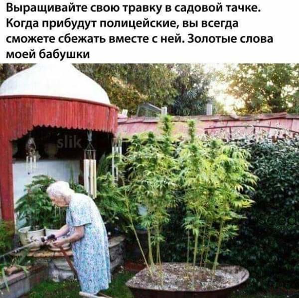 44 умные мысли