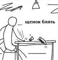 Щенки первый раз увидели бабочку