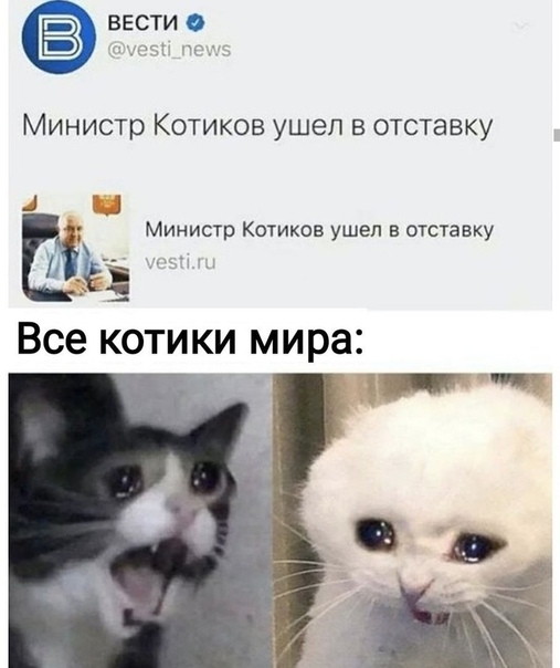 Всем хорошего настроения с картинками