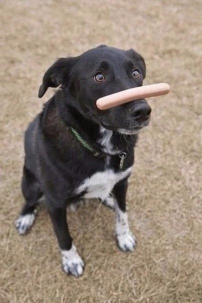 Этот взгляд