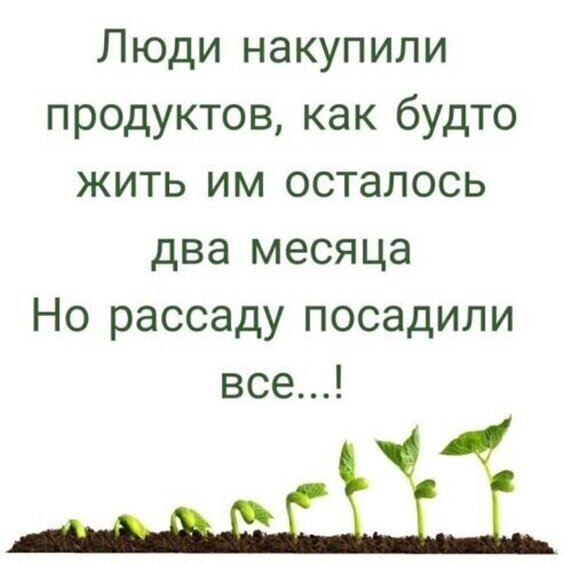 Немного картинок для настроения 30.03.20