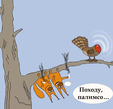 Фотожаба: Телепорт