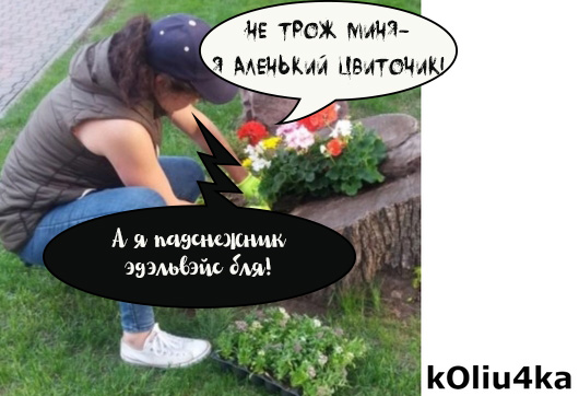 Бредзона 05.06.2020