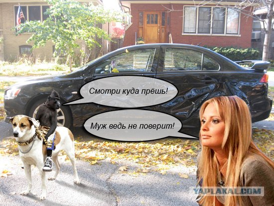 Черный всадник