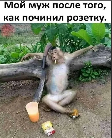 Че жена сделала в доме?