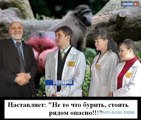 Фотожаба: Бурение убивает
