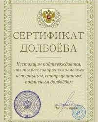 Ёлкин