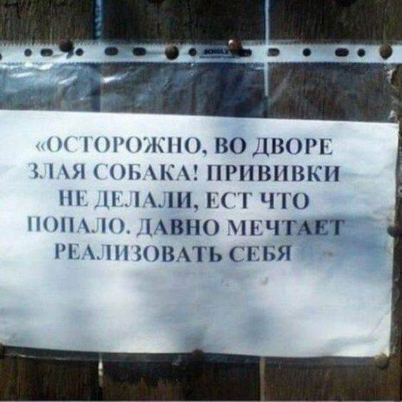 Баянисто-небаянистый юмор 11.01.22