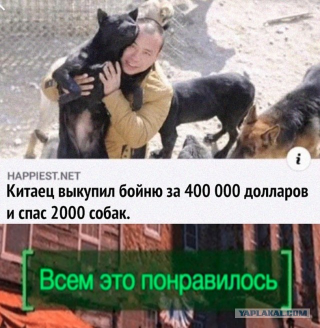 Картинки и мемы для настроения 18.01.2022