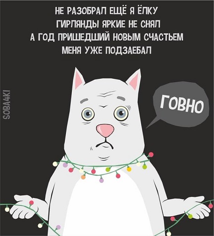 Камень не выбрасывать