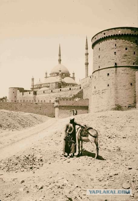 Пандемия. Коронавирус и съехавшие крыши. Россия и мир. Часть 34.
