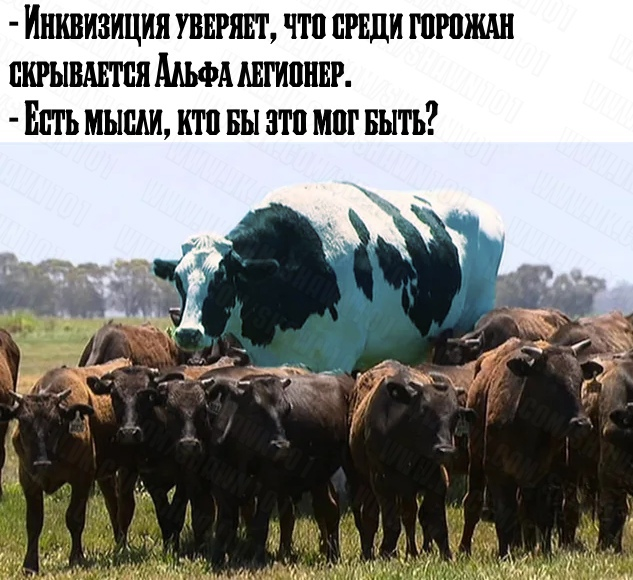 40 картинок разных 26.05.2022