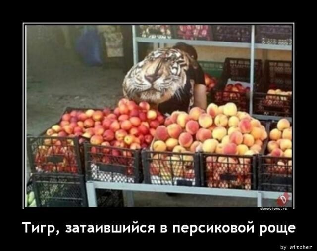 Картинки с надписями 19.07.22
