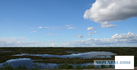 Ямал. Два времени года
