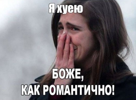 В Калининграде собака дождалась хозяина, вернувшегося с СВО