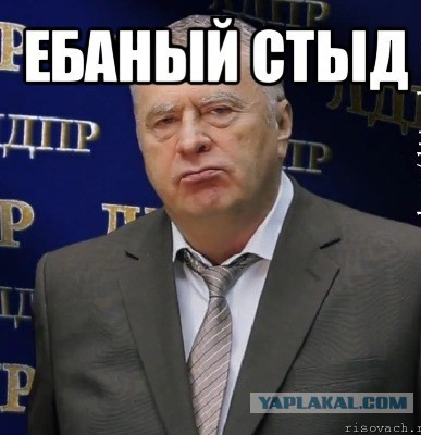 Комитет Госдумы по вопросам семьи, женщин и детей провел первое собрание Всероссийского союза «Социальный блогер»