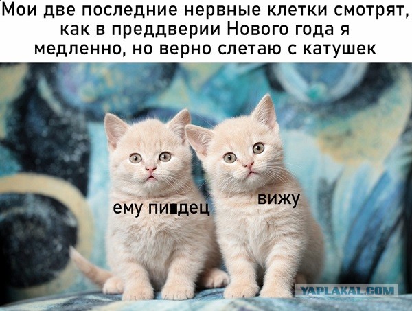 Так ли важно для мужчины , чтобы жена взяла его фамилию?
