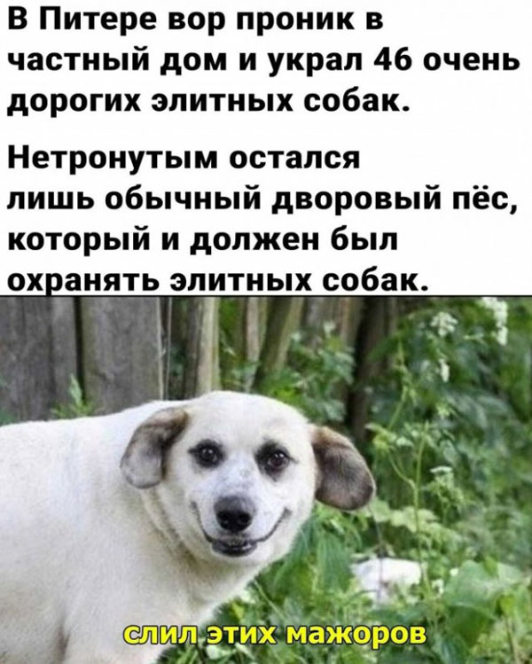 Первосубботние картинки