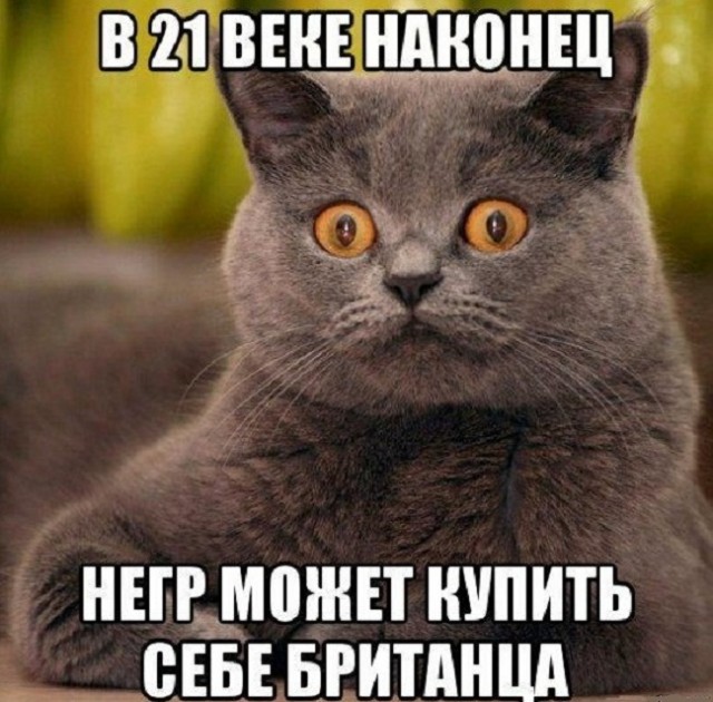 Немного картинок для настроения - 139
