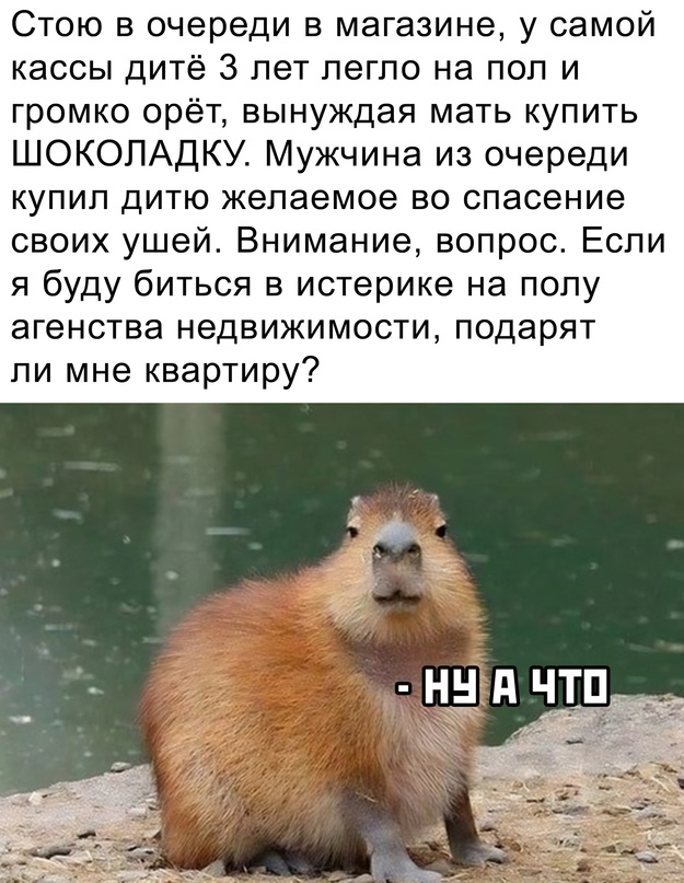Картинки и мемы, всем хороших выходных