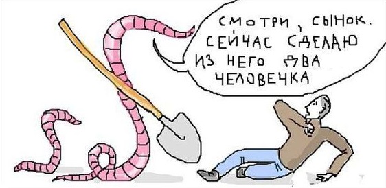 Немного картинок для настроения - 161