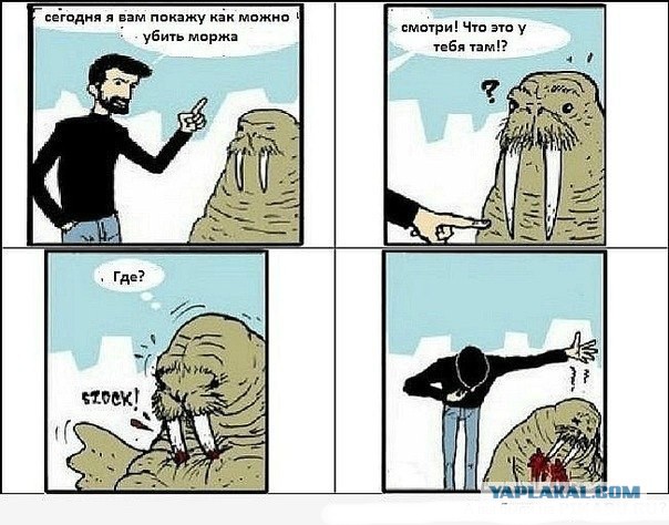 Шутник, блин...