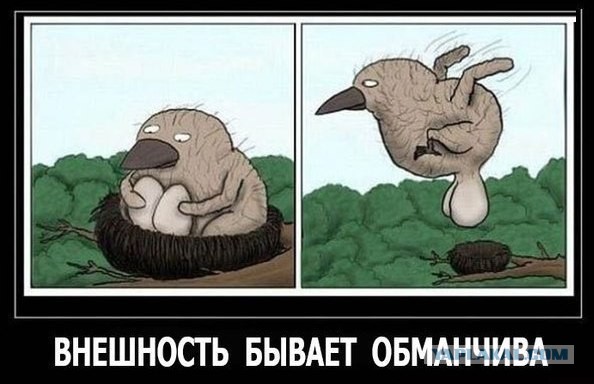 Постанова?