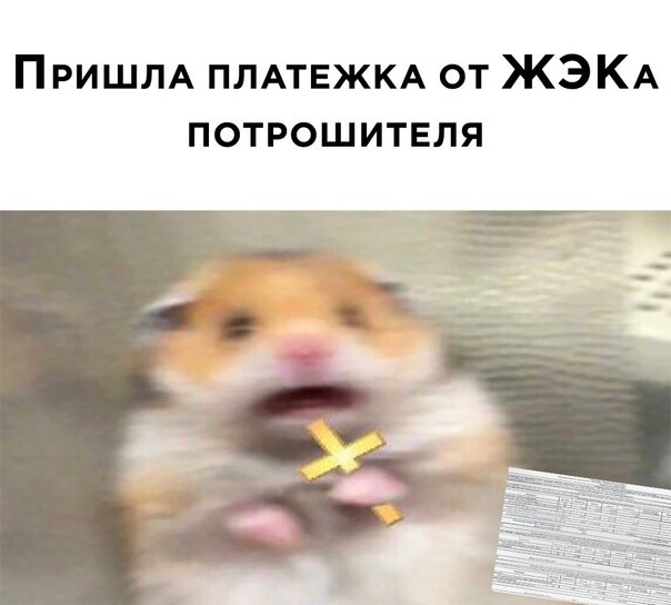 «Никакой защиты от аппетитов монополистов у нас нет»: почему тарифы на ЖКУ продолжают расти
