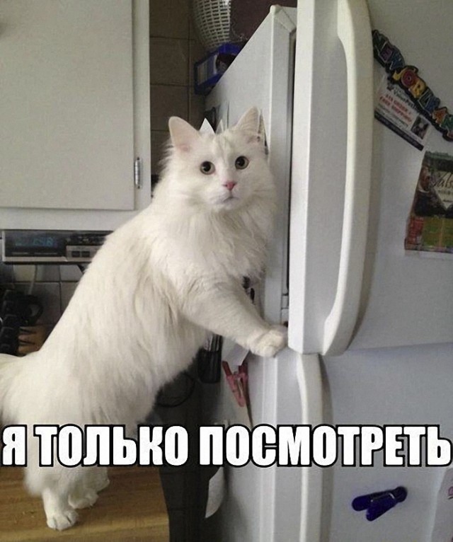 Бояны 7-ми летней выдержки