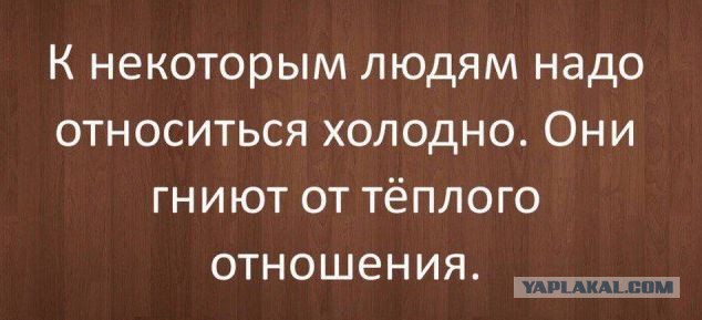 Не много весёлых картинок
