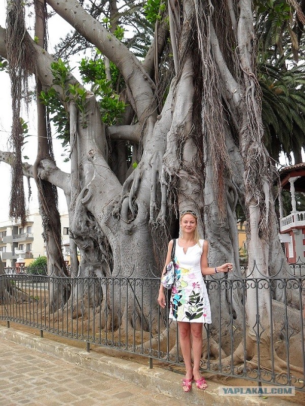 Хочу дачу на канарах!