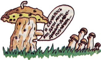 Север, блин