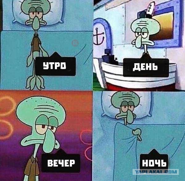 Спанч Боб — оскорбительное выражение. Это через суд доказал депутат из Озёрска, которого так обозвал активист.