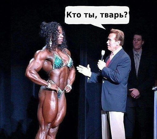 Так себе картинки 22.07.25