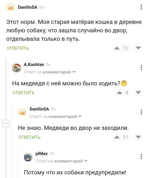 А где Цой?