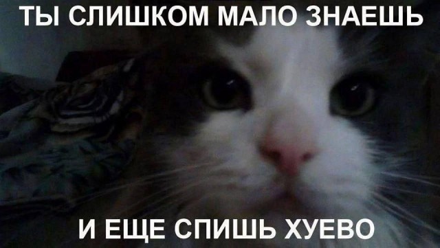 Картинки для деградации 95 (разной степени свежести)
