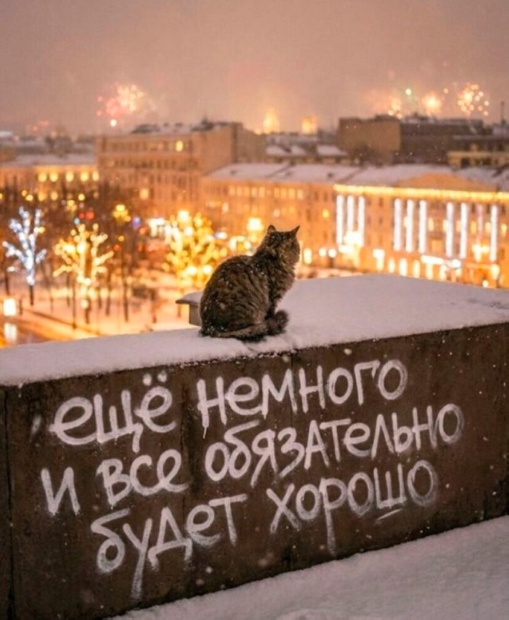 Так себе картинки 21.01.26