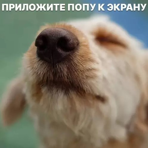 Картиночки, баянчики 22 марта