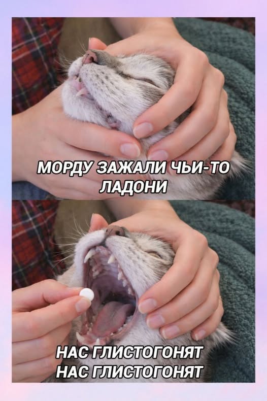 Картинки для деградации 166 (разной степени свежести)