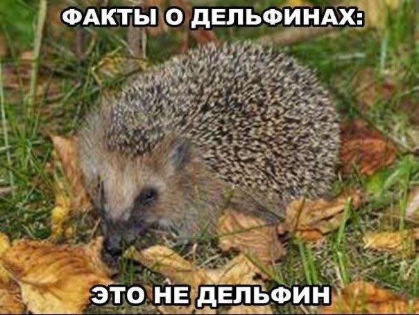 Деградация