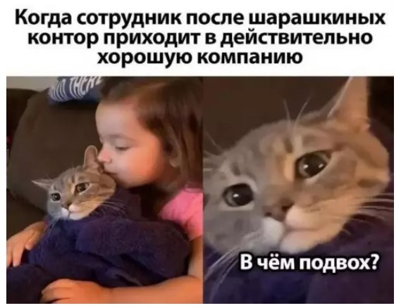 Картиночки, баянчики 06 июня