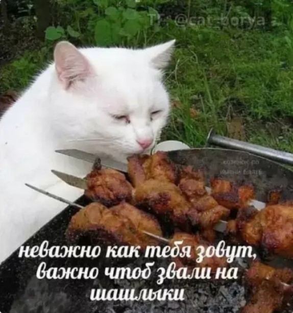 Картиночки, баянчики 27 июня