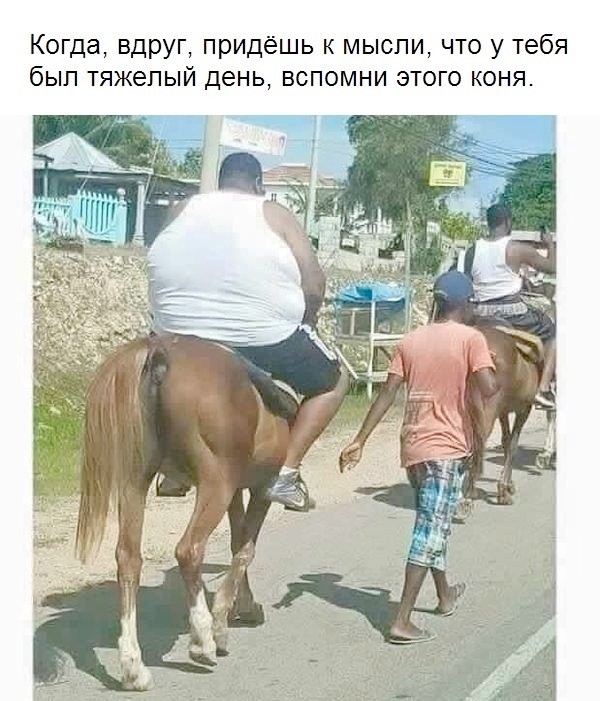 Картинки для деградации 231 (разной степени свежести)