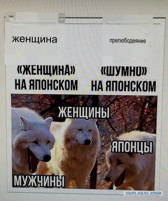 Картинки для деградации 246 (разной степени свежести)