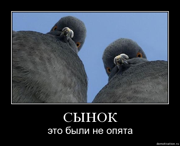 Хотел взять кота, а завелось вон чего.